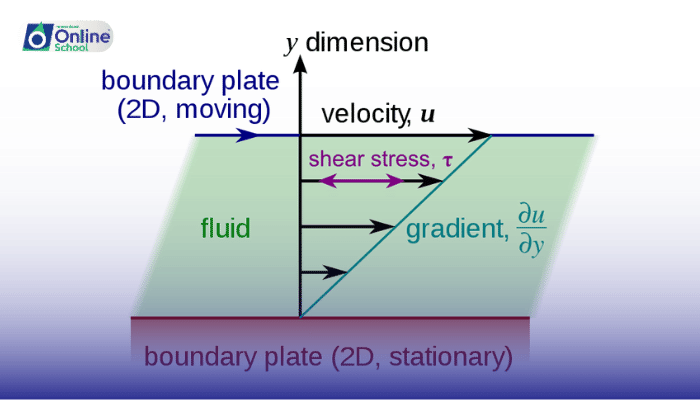 Lesson 11: Dependence of Viscous Force on Shape and Velocity
